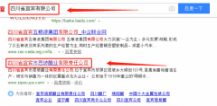 四川省宜賓市思坡醋業(yè)有限責任公司與我司做網(wǎng)站設(shè)計項目