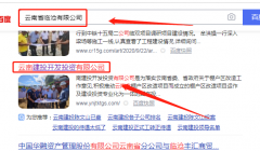云南*投開發(fā)投資有限公司網(wǎng)站建設創(chuàng)意網(wǎng)站效果展示