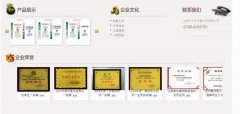 江西樂平*年青水泥有限公司網(wǎng)站建設營銷型案例作品