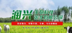 潤(rùn)*生物科技張北有限公司網(wǎng)站設(shè)計(jì)基本流程