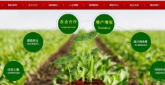 蘭考大*植物油有限公司網站建設有創(chuàng)意的主題設計