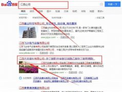 江西天*香料有限公司網(wǎng)站建設(shè)可視化建站作品欣賞