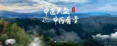 普洱淞*醫(yī)藥集團(tuán)有限公司網(wǎng)站建設(shè)新一代自助建站、智能建站系統(tǒng)