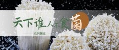 天水眾*菌業(yè)股份有限公司網(wǎng)站建設(shè)有創(chuàng)意的主題設(shè)計