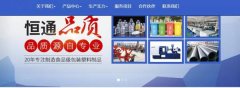 吳忠市恒*塑料制品有限公司網(wǎng)站建設平面設計案例作品