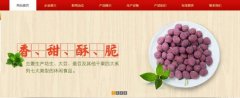 紅太*食品(榮成)有限公司制作網(wǎng)站新一代自助建站、智能建站系統(tǒng)